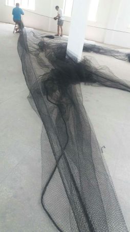 mmexport1502957023408